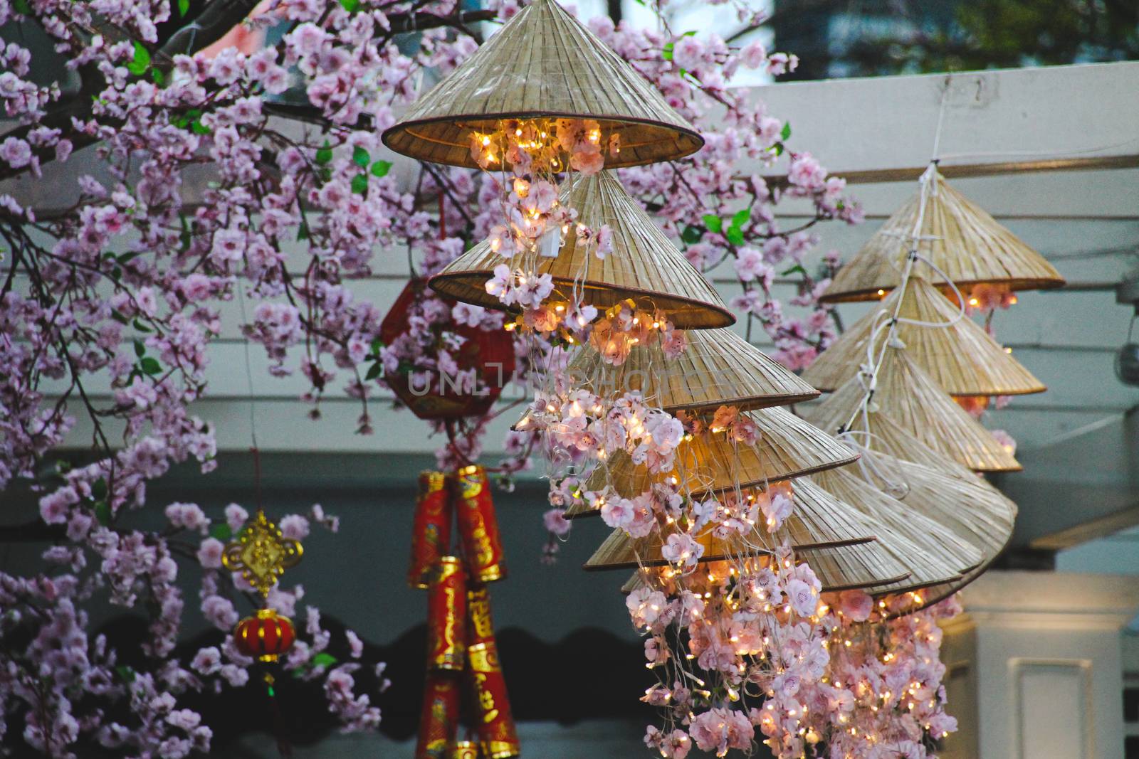 Beautiful Spring Festival decorations in Hanoi City by Sonnet15