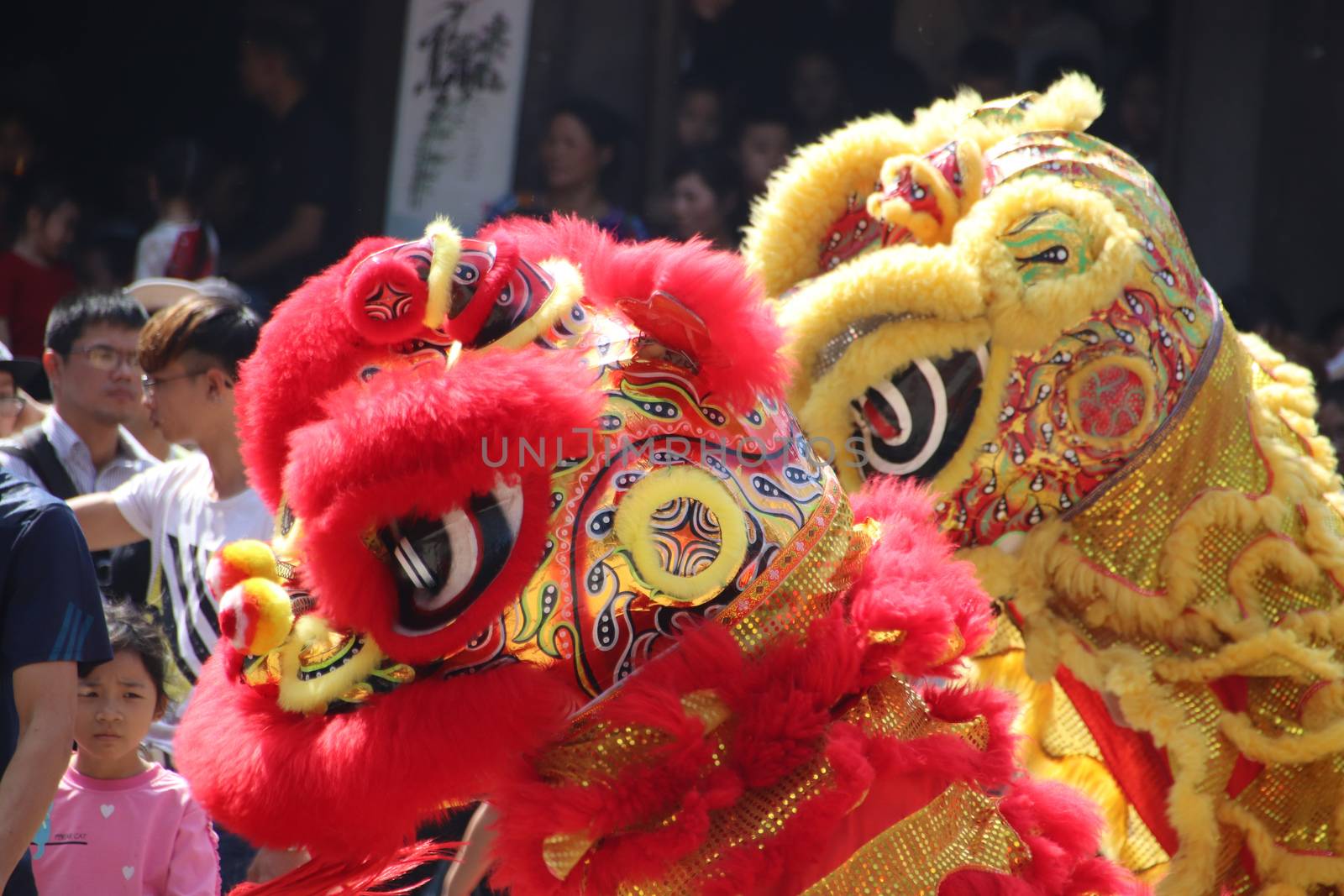 Traditional Lion Dance Performance by Sonnet15