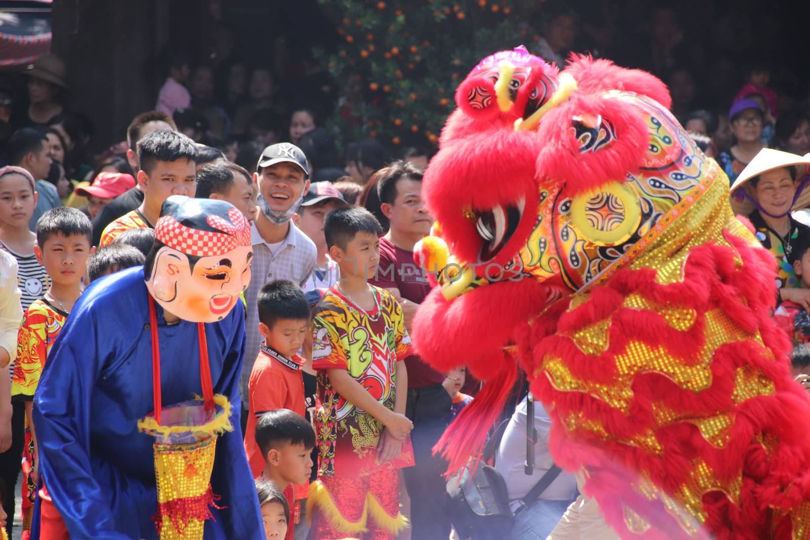 Traditional Lion Dance Performance by Sonnet15
