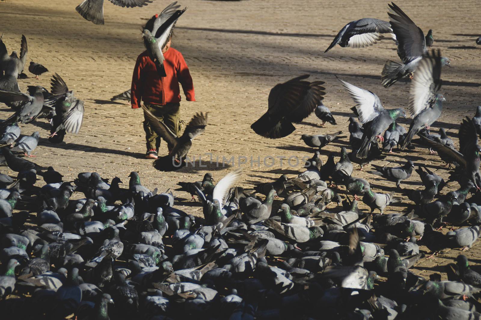 A child playing among the pigeons in Durbar Square, Kathmandu Nepal