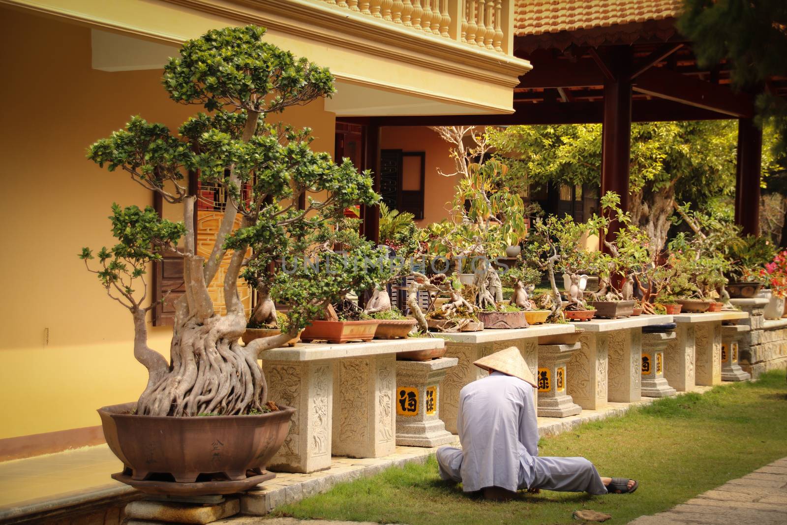 Monk in the Zen Garden of Linh Son Pagoda by Sonnet15