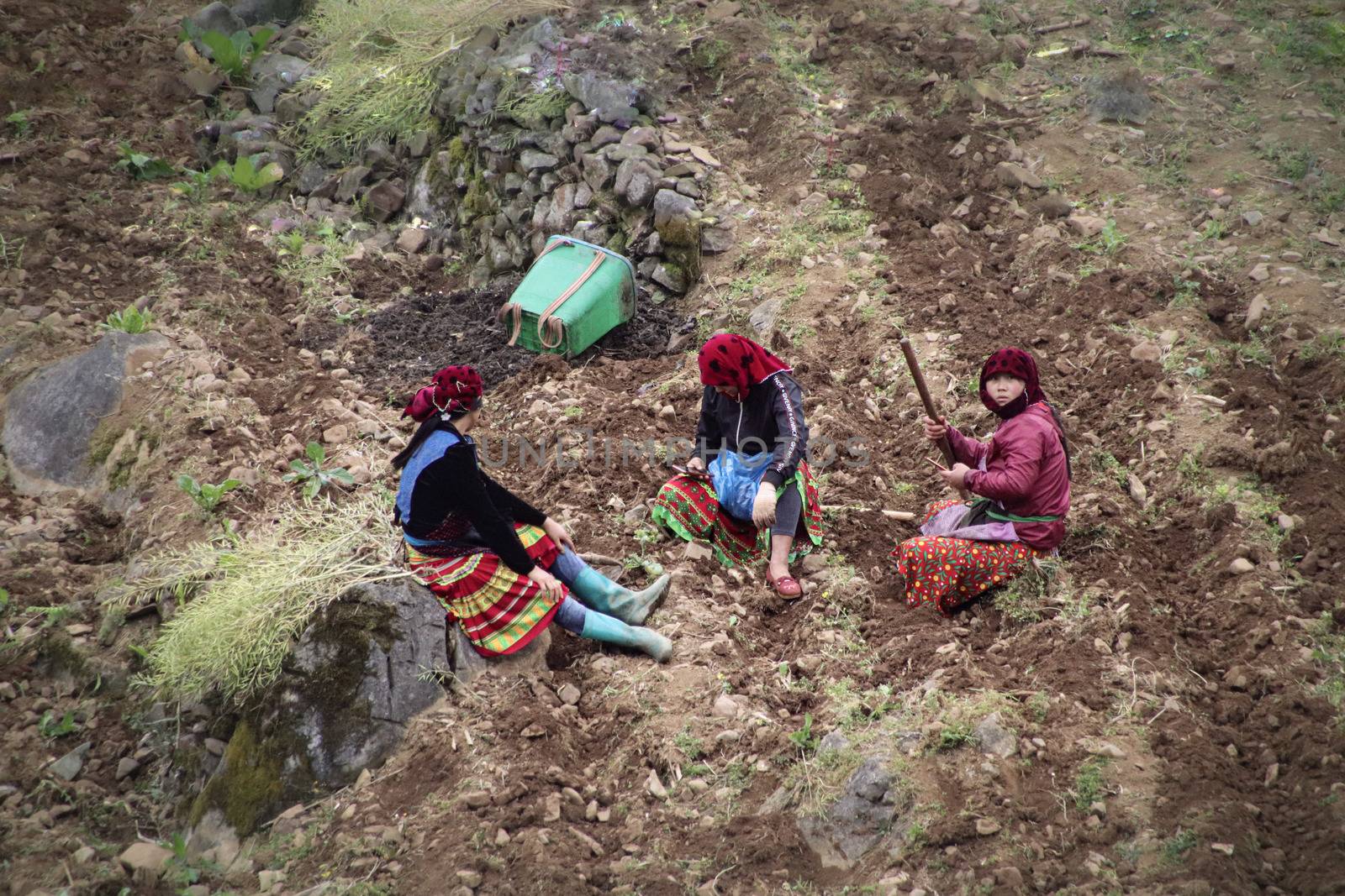 Editorial, Ethnic Hmong women taking a rest after plowing the field in Dong Van, Vietnam