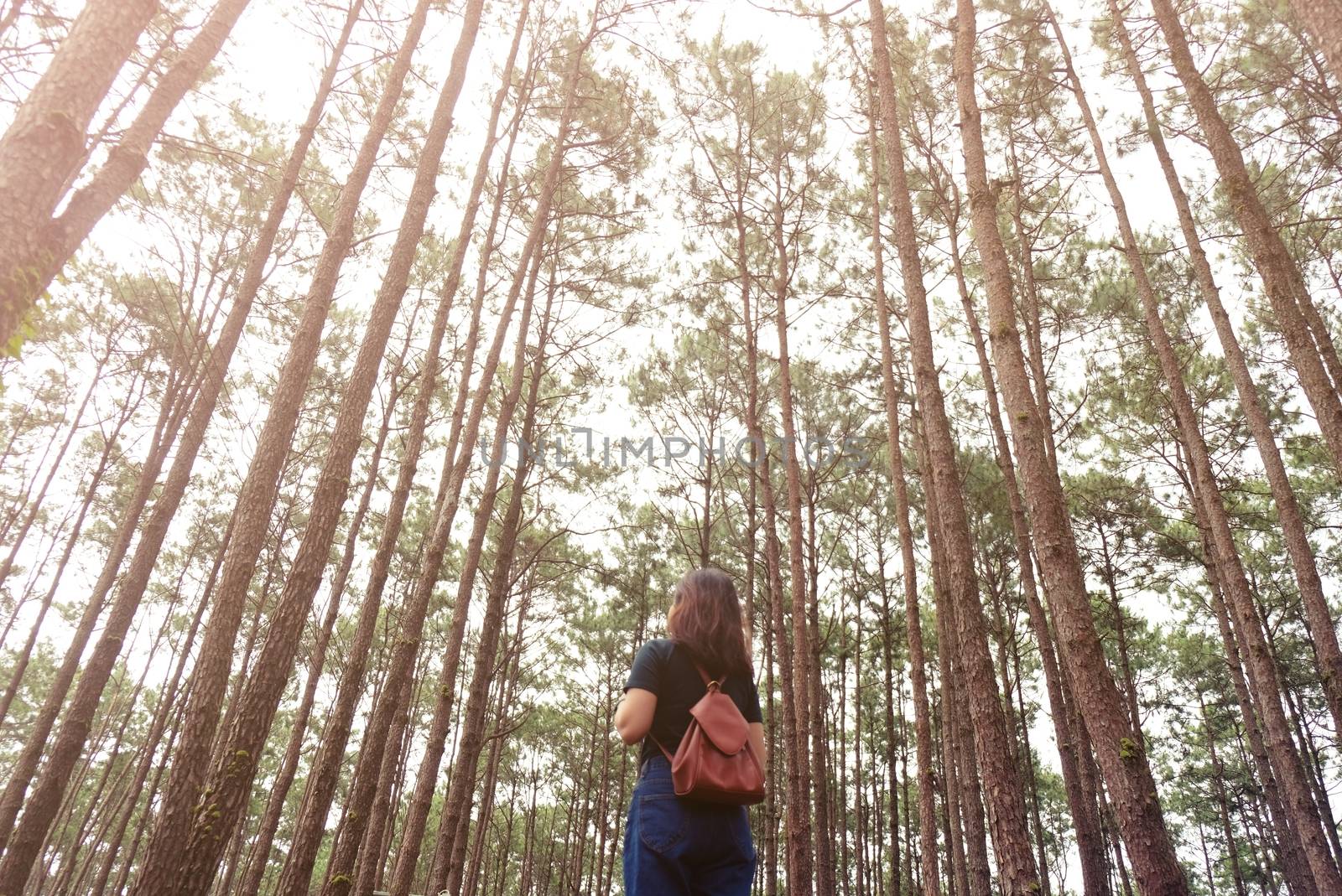 Traveler woman take a photograph in nature Pine Park. Tourist with camera travel photo of photographer Making pictures Traveling Trip Sightseeing Tourism concept