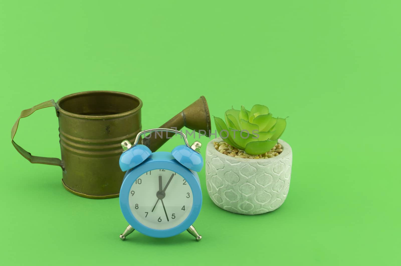 Indoor plant watering schedule concept still life with small vintage metal watering can, classic blue alarm clock and potted succulent plant in ceramic pot, isolated on green background with shadow