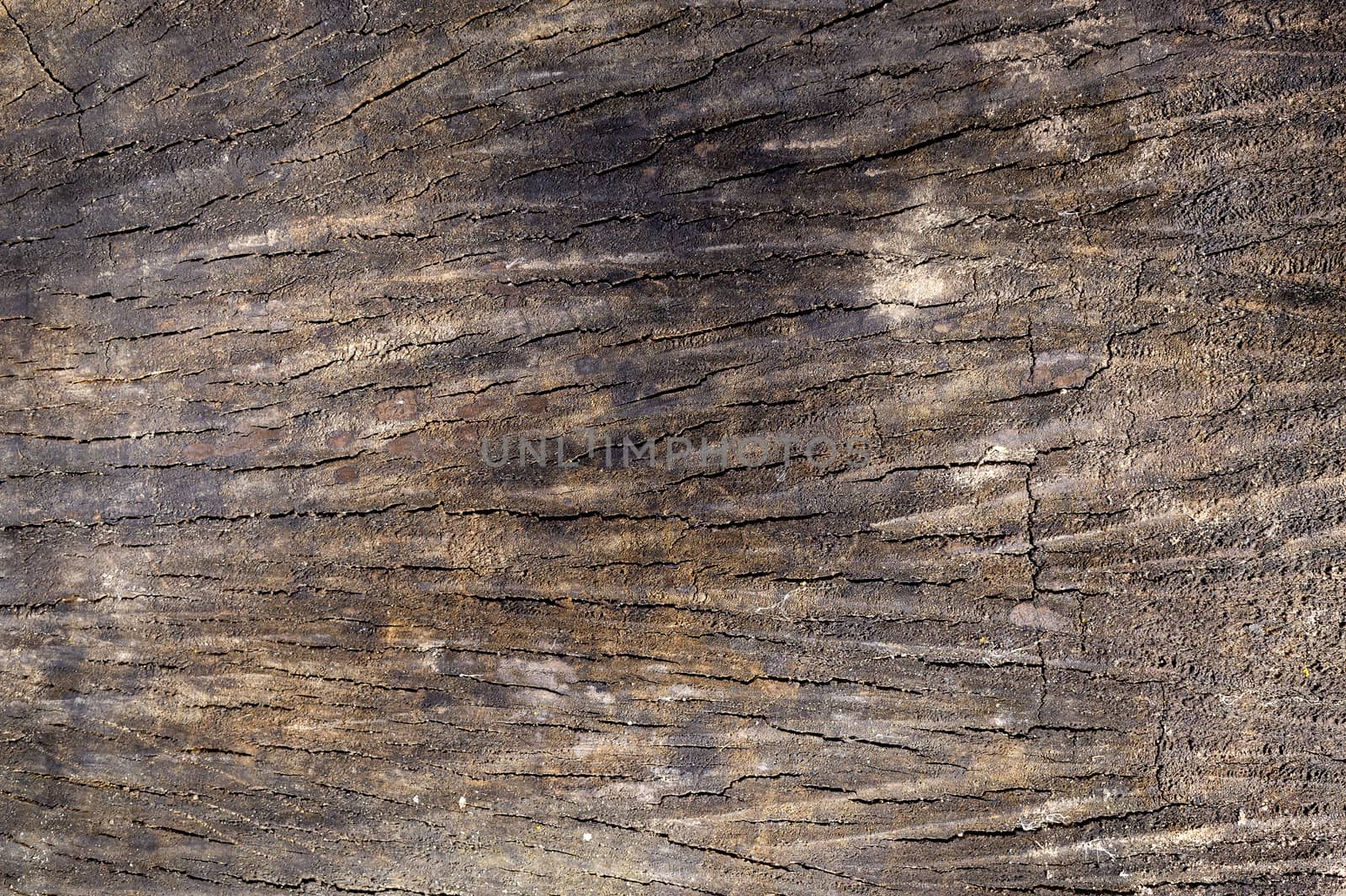 Weathered wooden background, closeup. Aged wooden surface