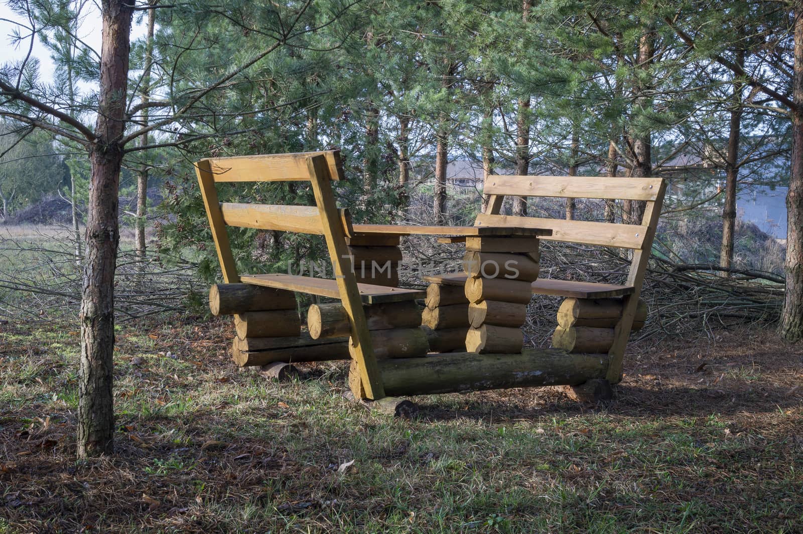 Rustic wooden picnic bench and table made of cut logs standing in a copse of young pine trees an a rural landscape