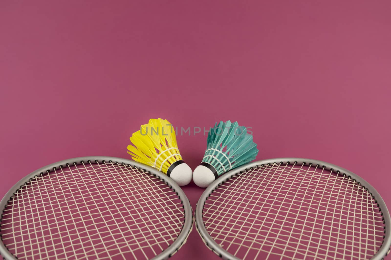 Badminton rackets and colorful feathered shuttlecocks in blue and yellow on a pink background