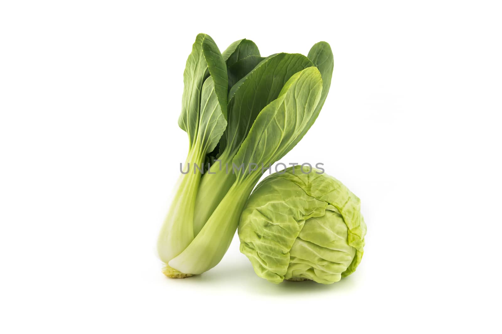 Fresh pak choi cabbage or chinese cabbage and white cabbage isolated on white background