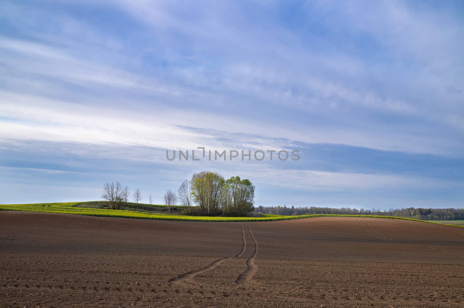 Vehicle tracks through a freshly ploughed agricultural field with rich brown fertile earth ready for planting the spring crop