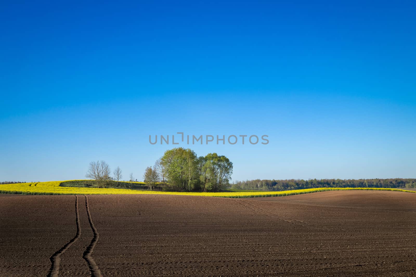 Vehicle tracks through a freshly ploughed agricultural field with rich brown fertile earth ready for planting the spring crop