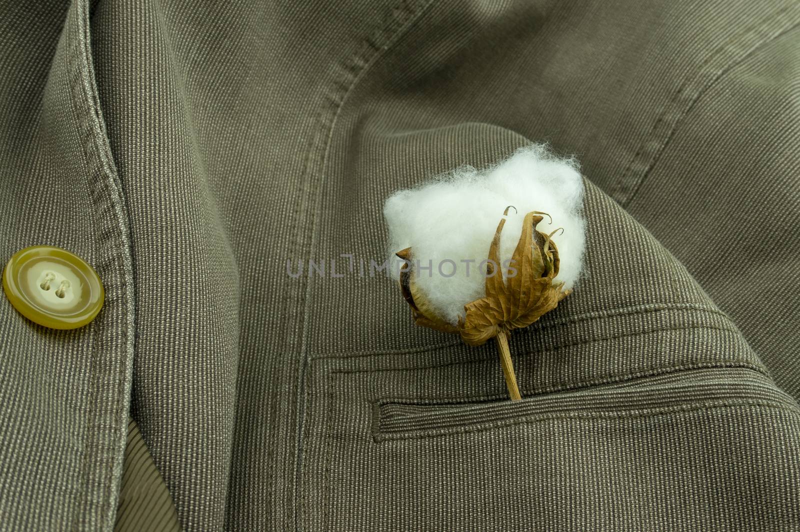 Brown corduroy jacket with cotton boll in pocket by NetPix