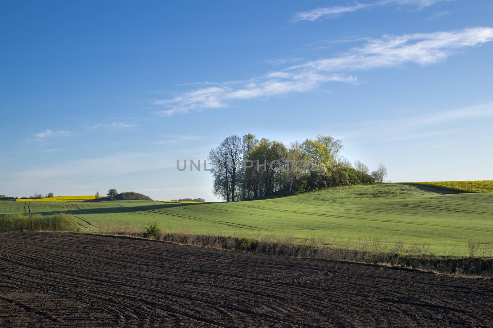 Agricultural landscape with ploughed field and rolling lush green hills in spring conceptual of the seasons