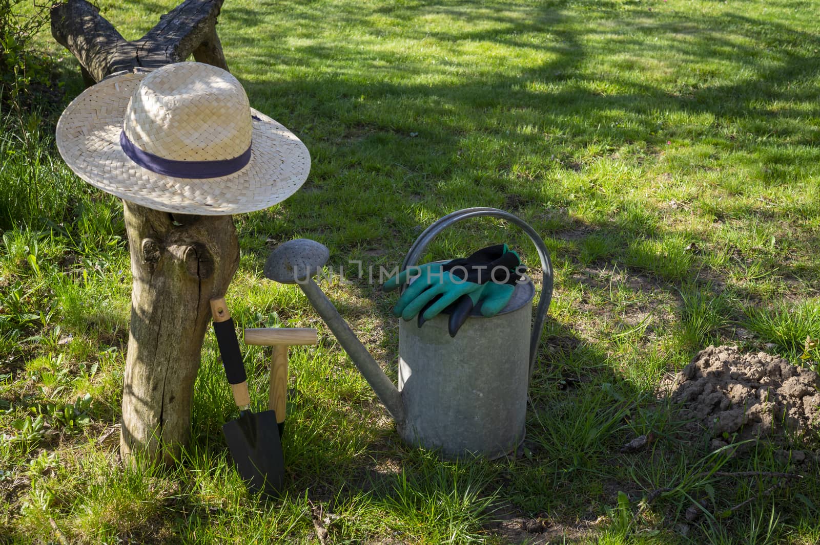 Straw sunhat with gloves, watering can and gardening tools lying on a green lawn in a spring garden in the sunshine conceptual of the seasons