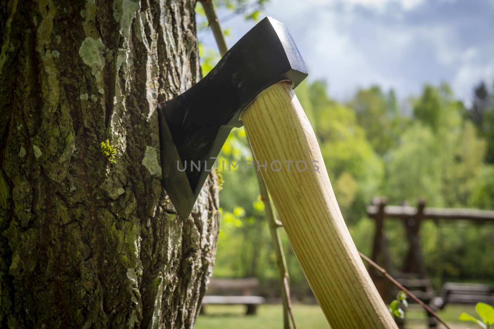 Chopper or axe standing upright in an old tree stump outdoors against a woodland background in spring under a cloudy blue sky