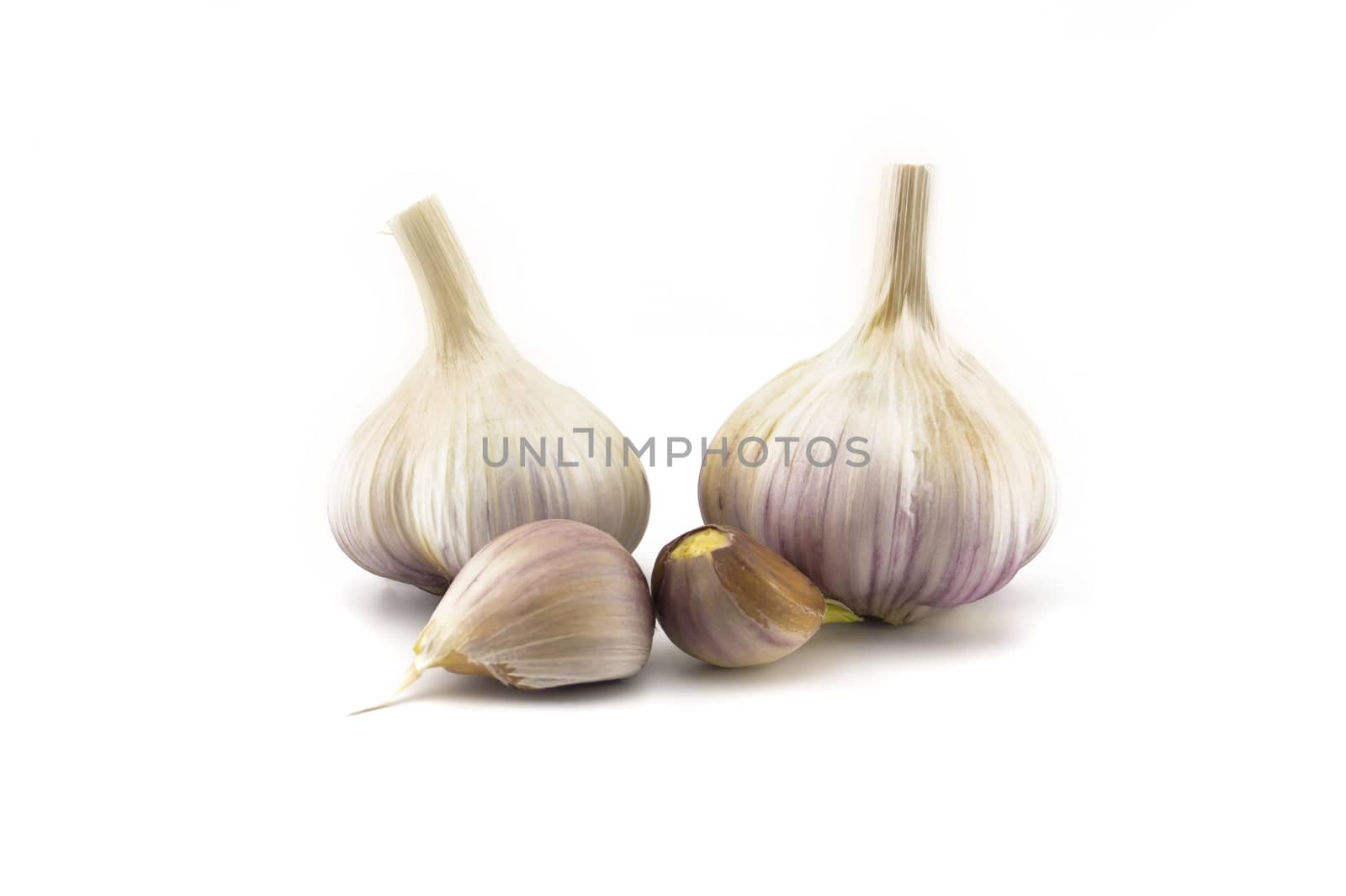 Garlic bulbs and cloves in close-up isolated on white background