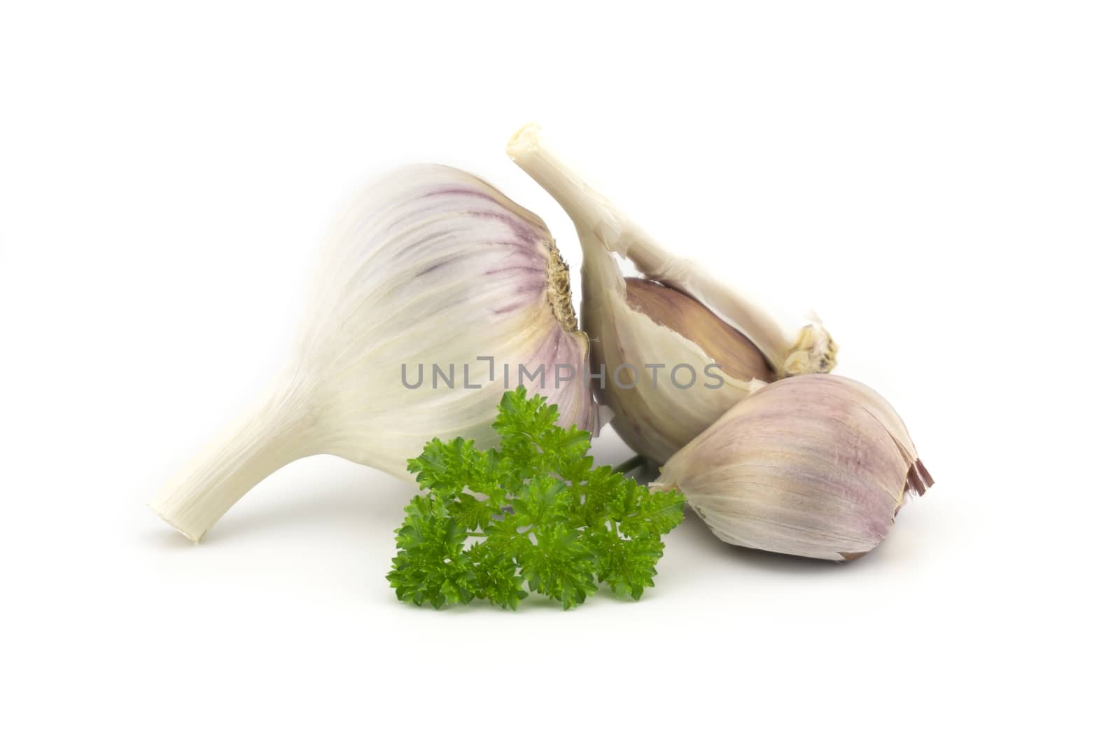 Garlic bulbs, cloves and green parsley twig in close-up isolated on white background