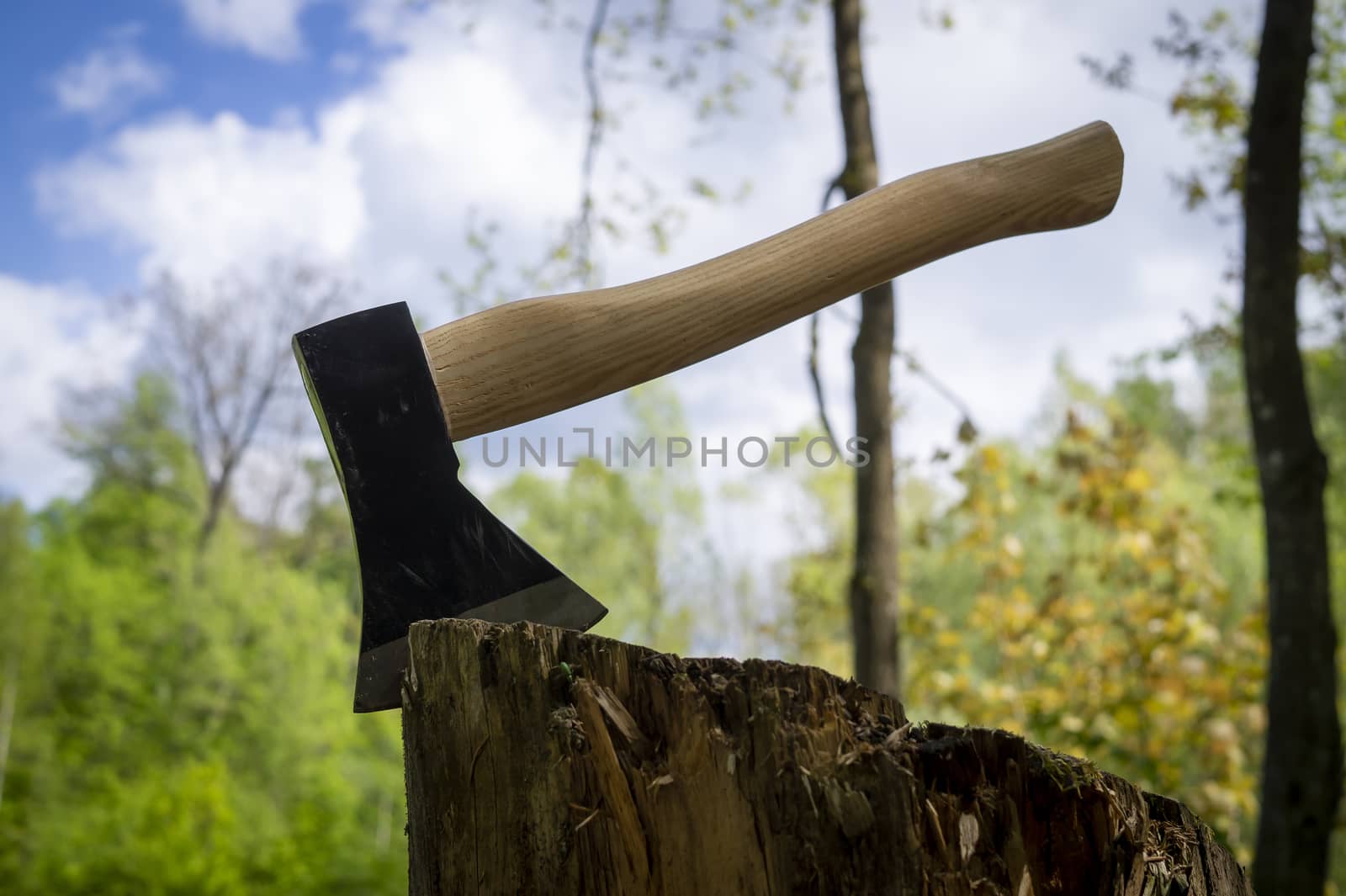 Chopper or axe standing upright in an old tree stump outdoors against a woodland background in spring under a cloudy blue sky