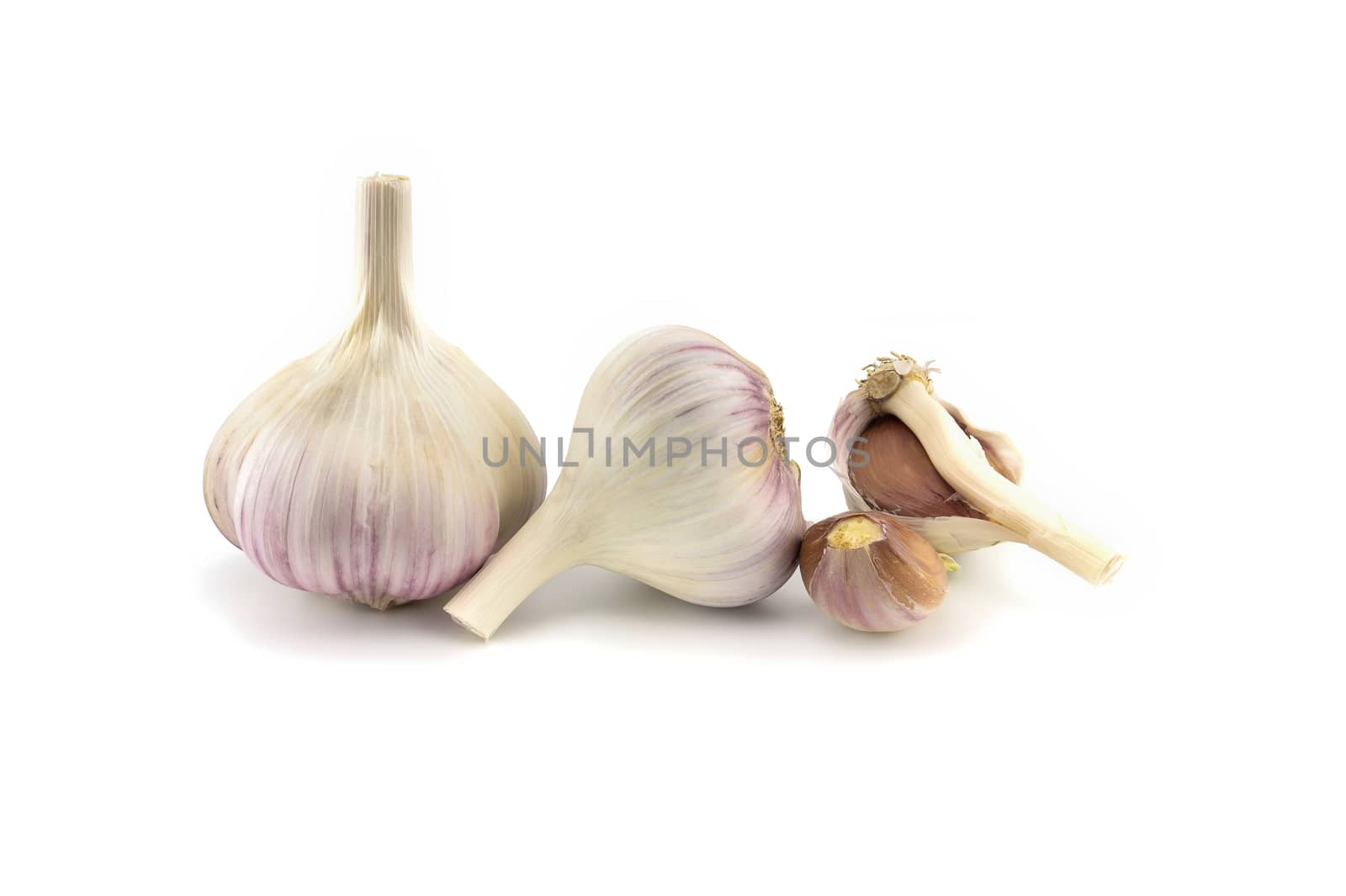 Garlic bulbs and cloves in close-up isolated on white background