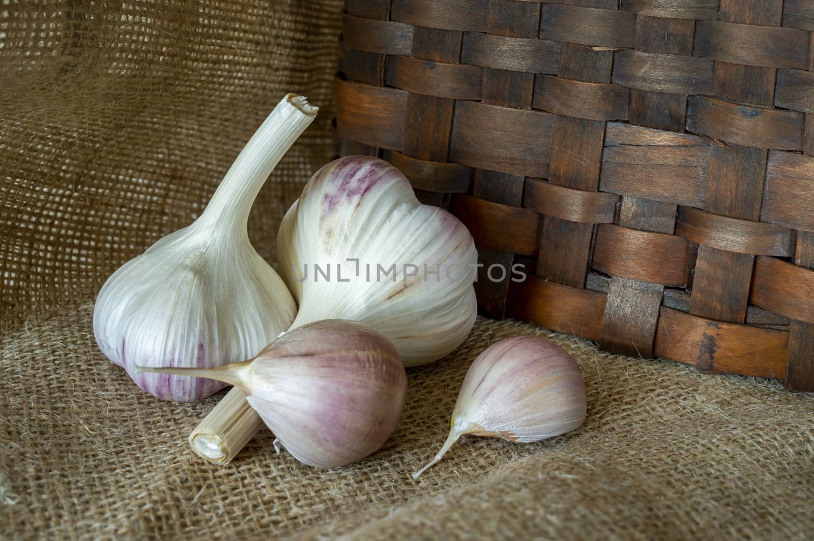 Garlic bulbs and cloves in close-up on brown sack cloth