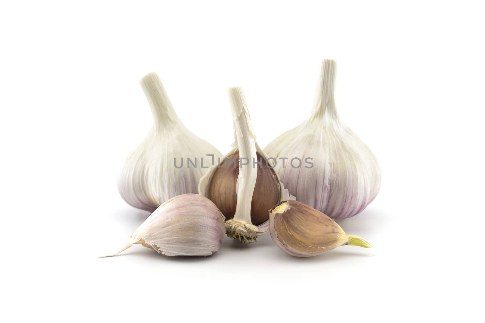 Garlic bulbs and cloves in close-up isolated on white background