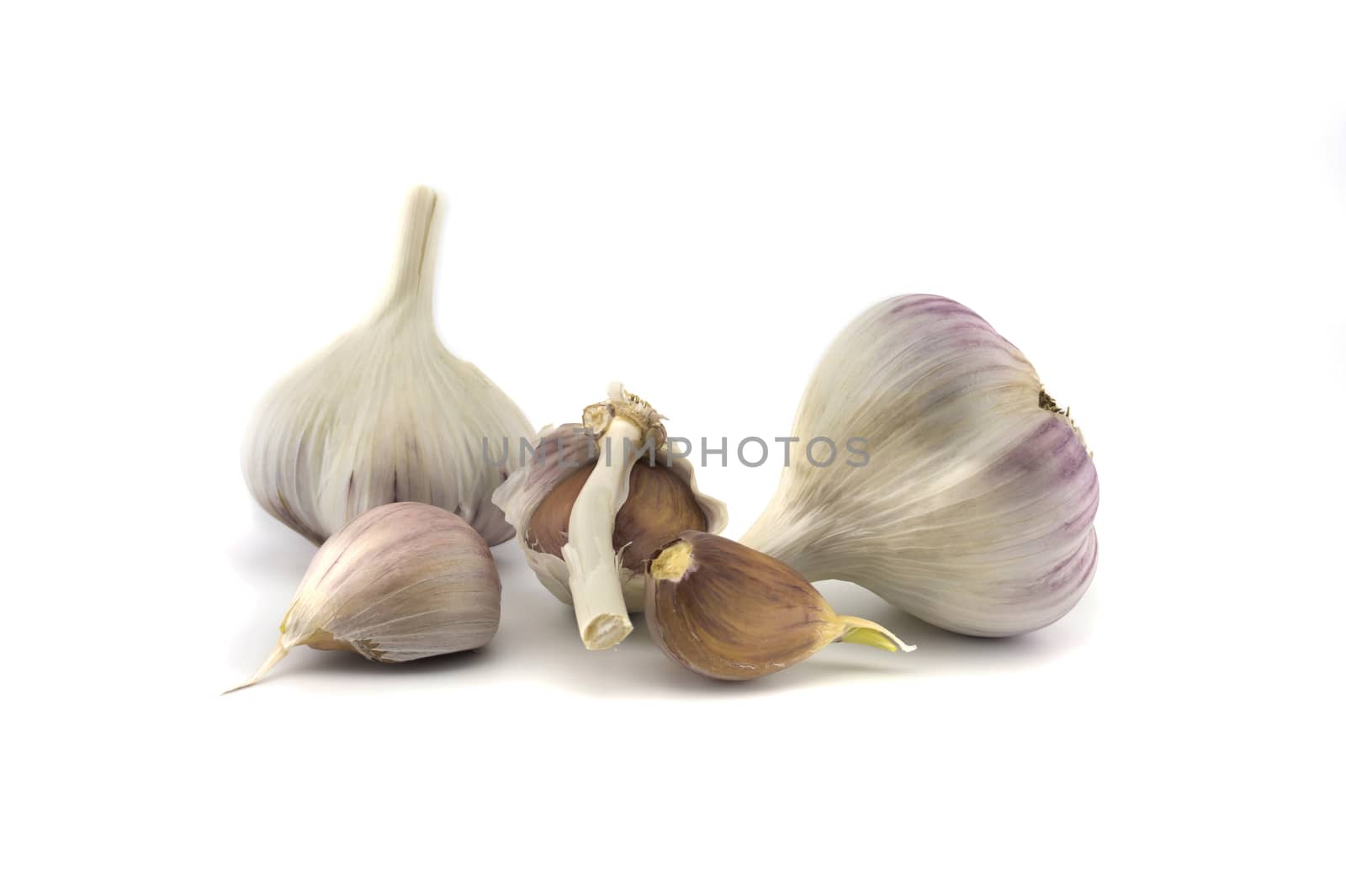 Garlic bulbs and cloves in close-up isolated on white background