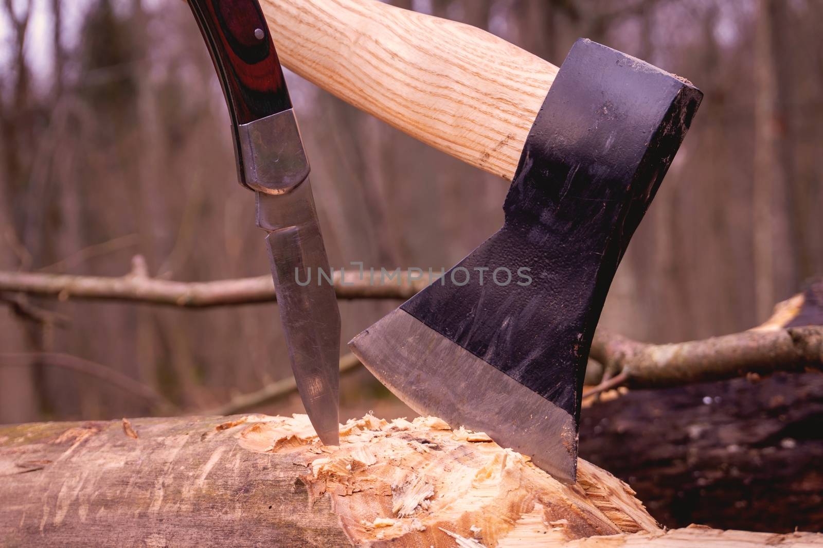 Hatchet or ax and folding pocket knife stuck upright in a tree stump outdoors in a garden or woodland conceptual of an outdoor lifestyle or camping