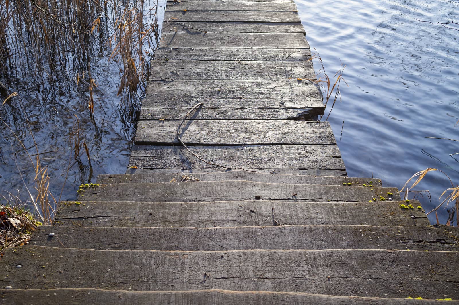 Old rustic wooden steps leading to a jetty over the calm water of a lake with reeds looking down from the top