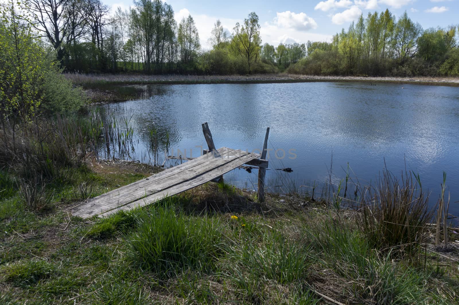 Old rustic wooden jetty on a tranquil lake with wild grasses on the bank and reflections on the water