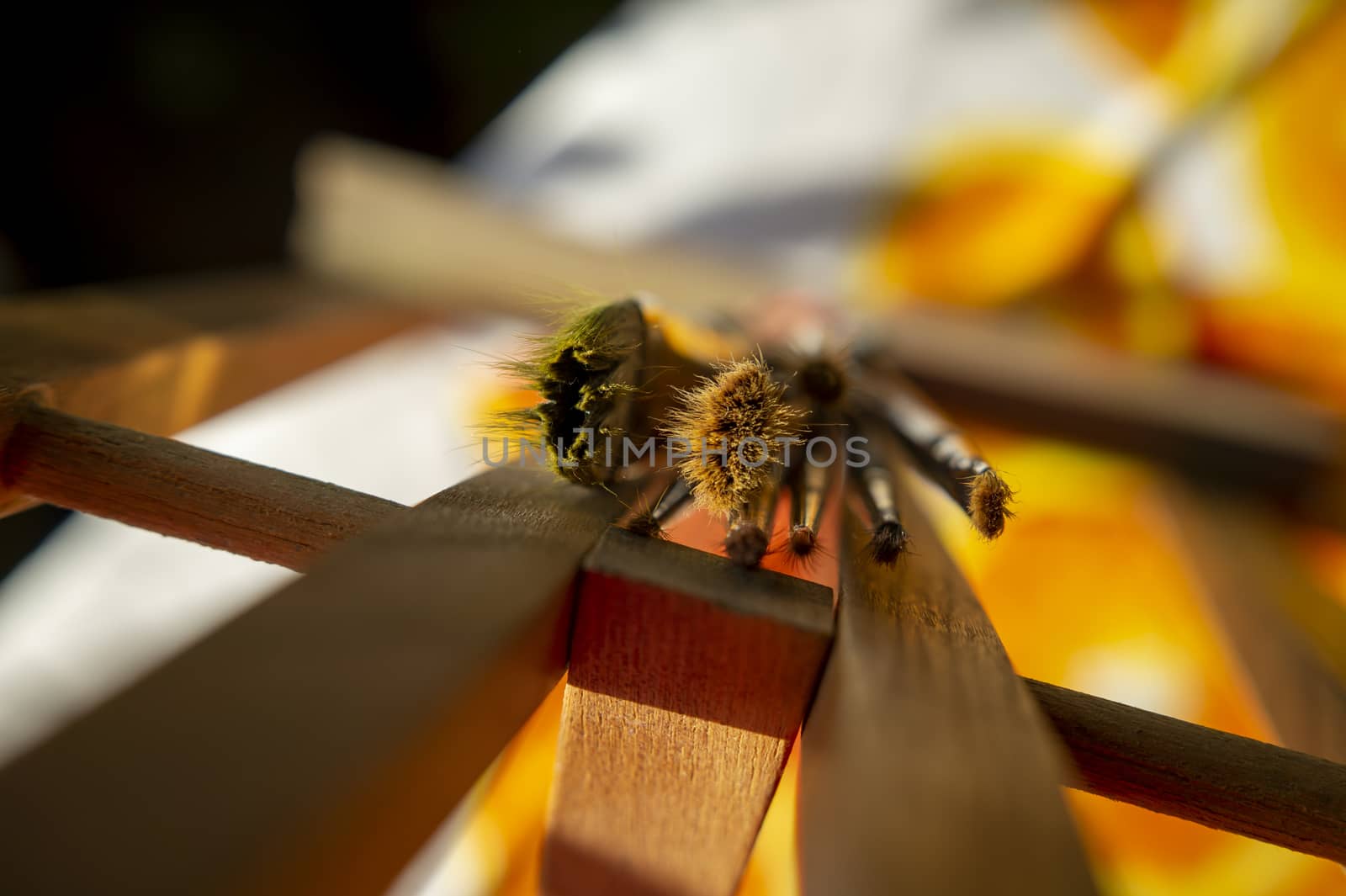 Artistic image with selective focus to the tips of assorted paint brushes resting on a wooden beam with copy space and colorful yellow background