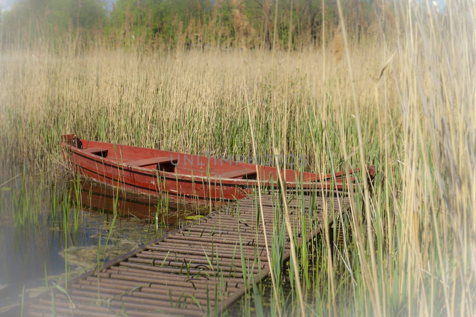 Wooden red rowboat moored to a rustic jetty on a lake amongst reeds and water lilies in a scenic rural landscape