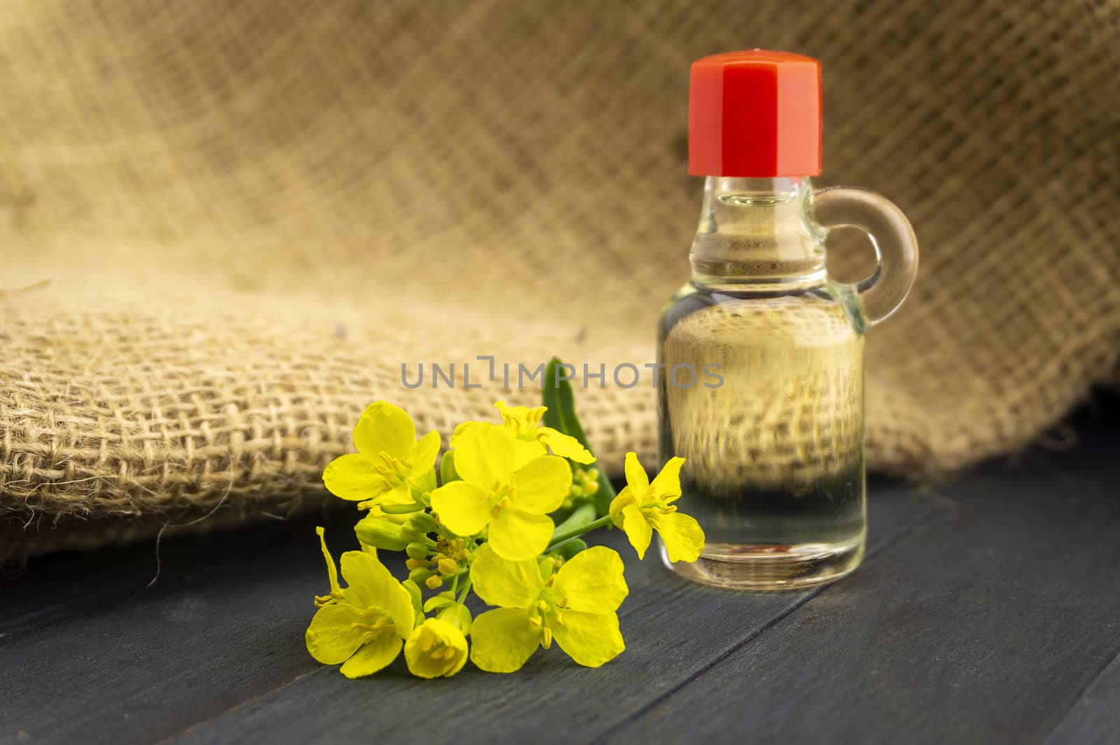 Small sprig of vivid yellow rapeseed flowers with decanter of oil alongside hessian sack fabric with copy space