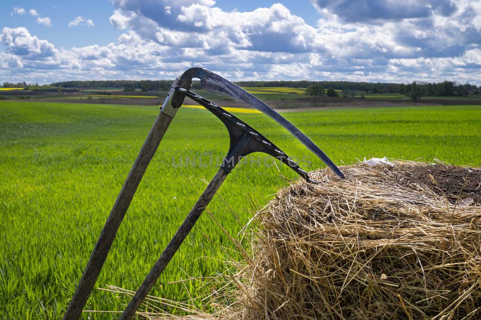 Rake and scythe on dried straw in an agricultural field in spring viewed in close up on the tools