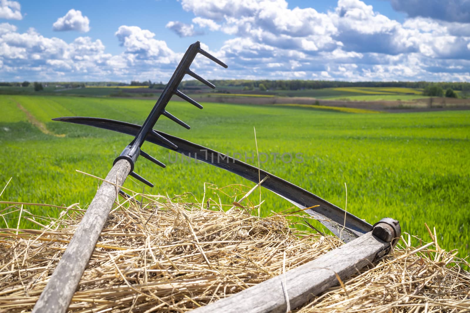 Rake and scythe on dried straw in an agricultural field in spring viewed in close up on the tools