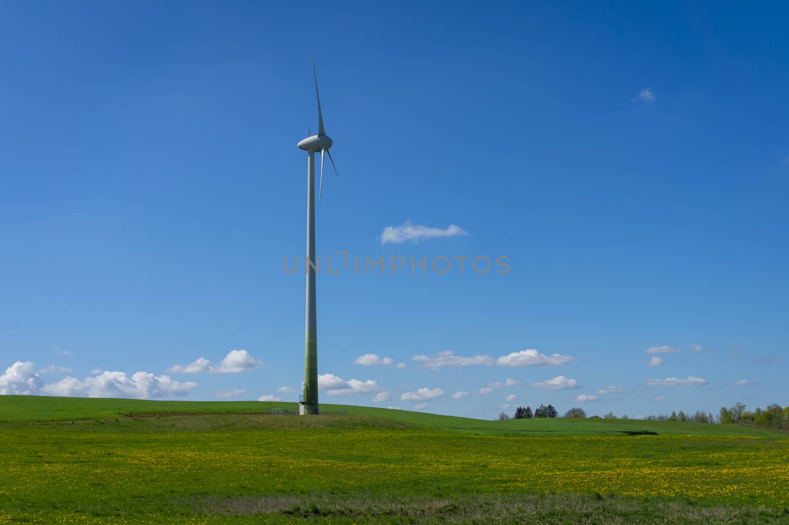 Wind power turbines for electric power generation in landscape with green grass, trees and cloudy blue sky
