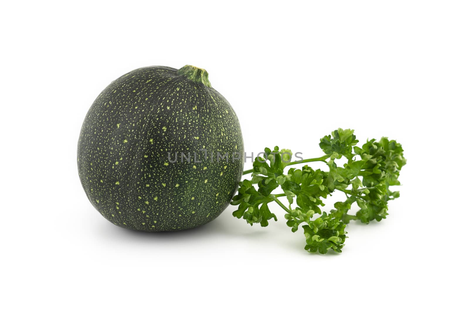 Green round courgette or zucchini and fresh parsley sprigs isolated on white background