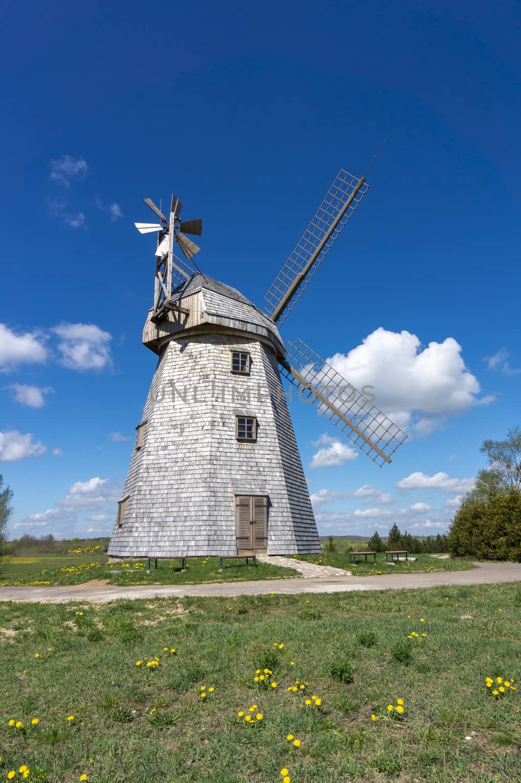 Historic windmill in a lush green field in spring against a sunny blue sky in a scenic landscape