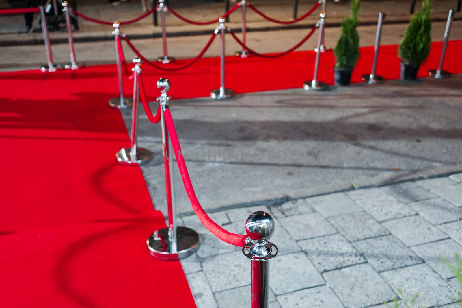 Long red carpet between rope barriers on entrance. by OleksandrLipko