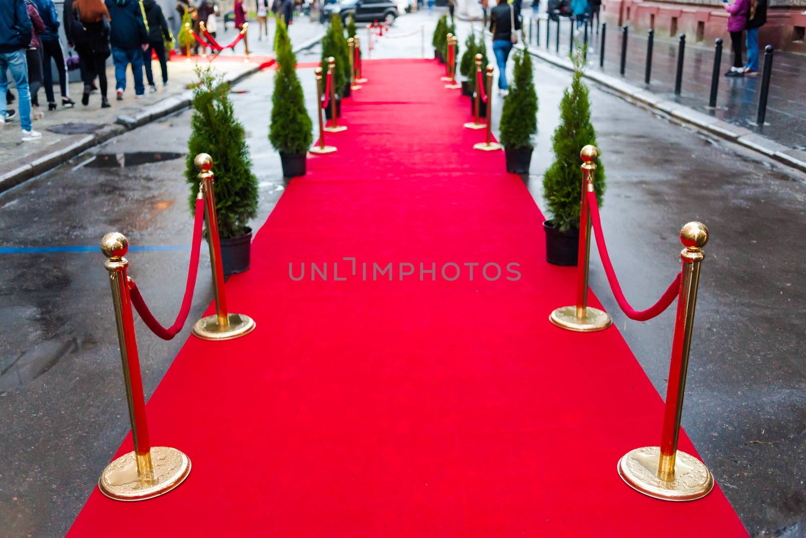 Long red carpet between rope barriers on entrance. by OleksandrLipko