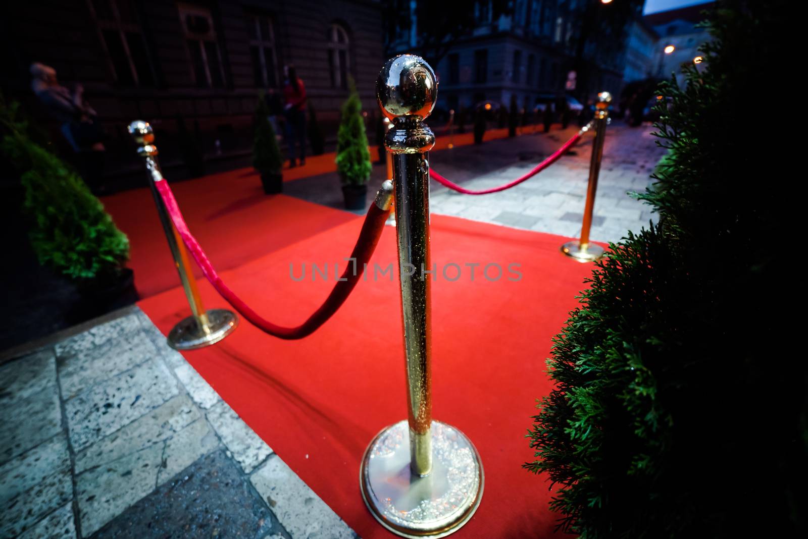 Long red carpet between rope barriers on entrance.