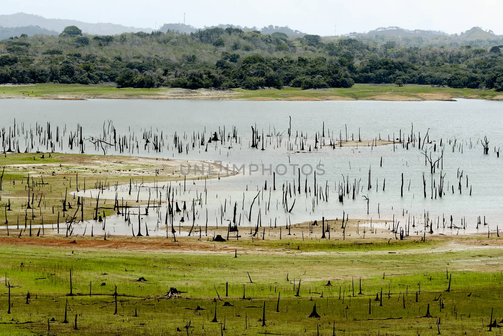 Madden lake, Metropolitan Natural Park, Panama