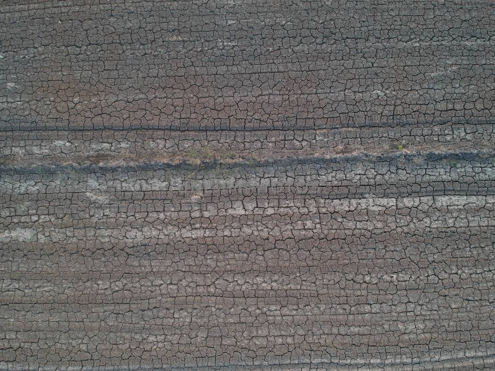 Dry ground pictures