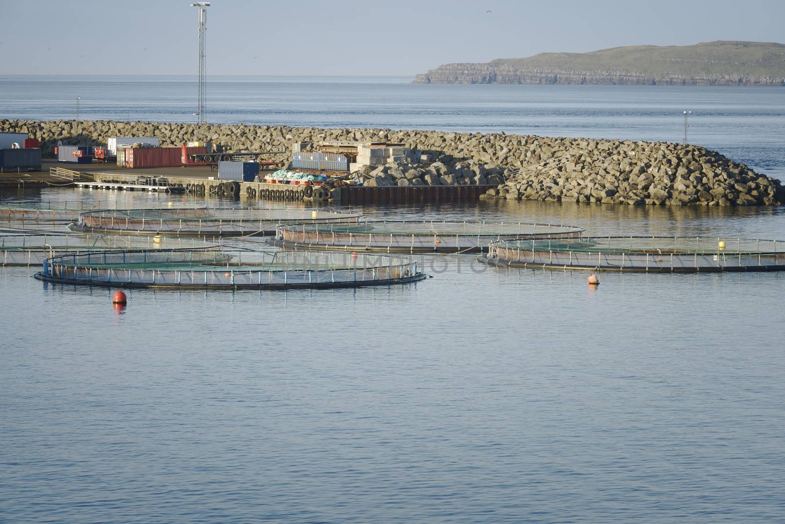 Fish Farm In Northern Norway