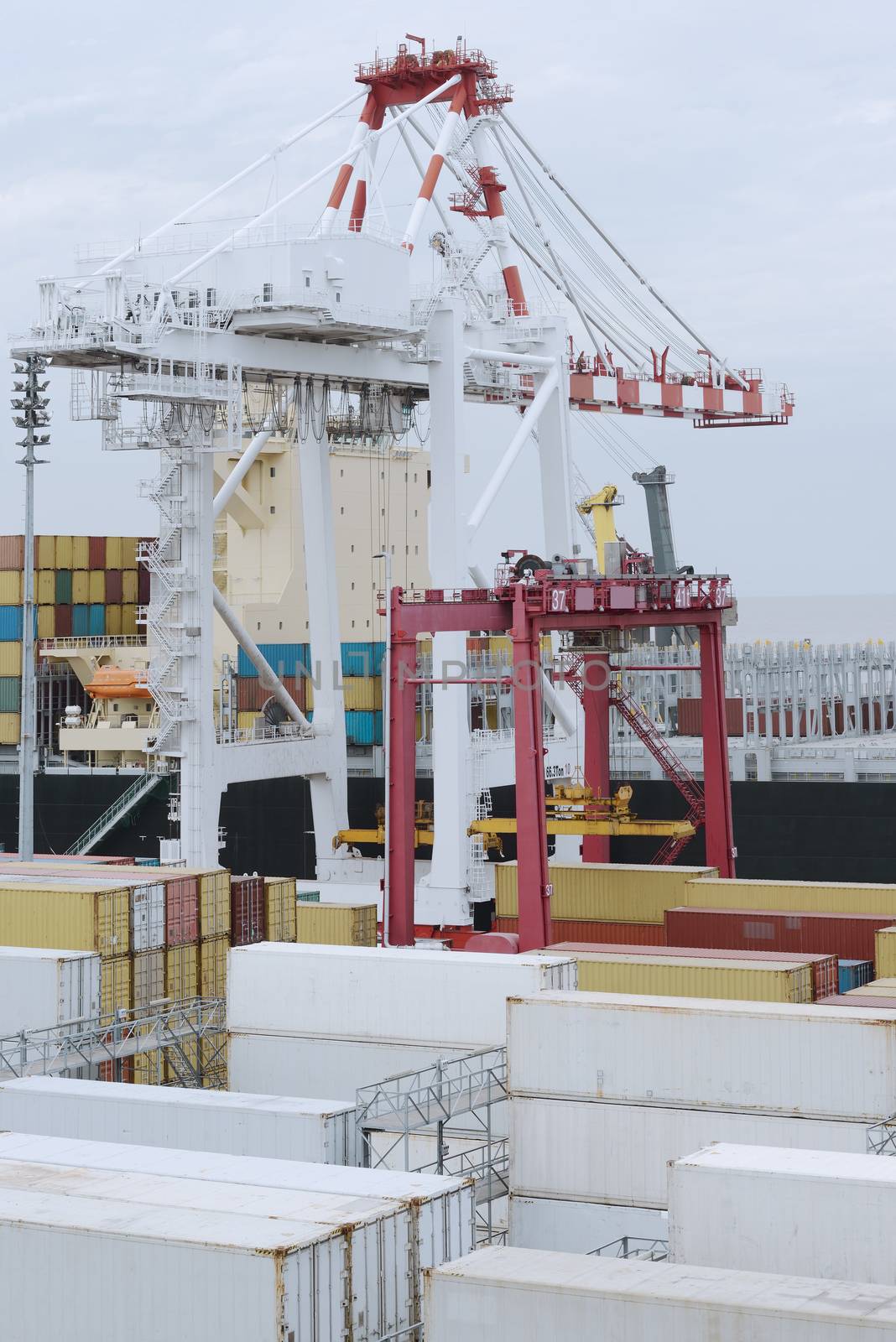 Large Harbor Crane Loading Containers On Cargo Vessel 