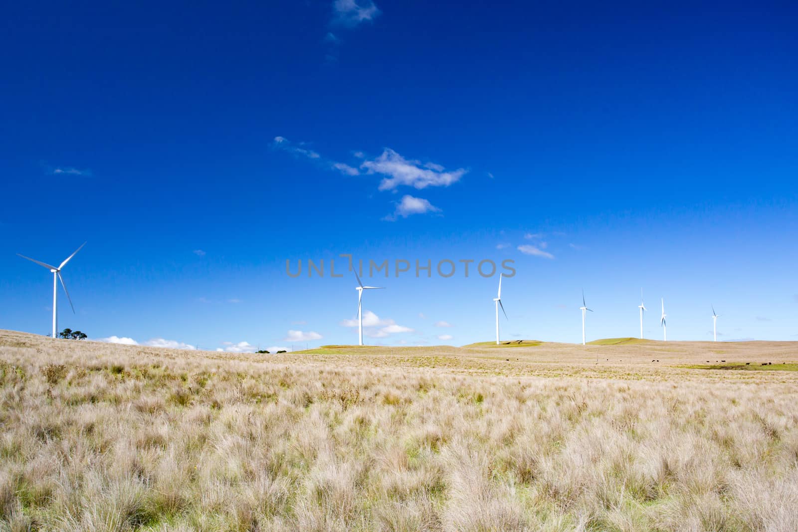 A wind farm near the town of Dalgety, New South Wales, Australia