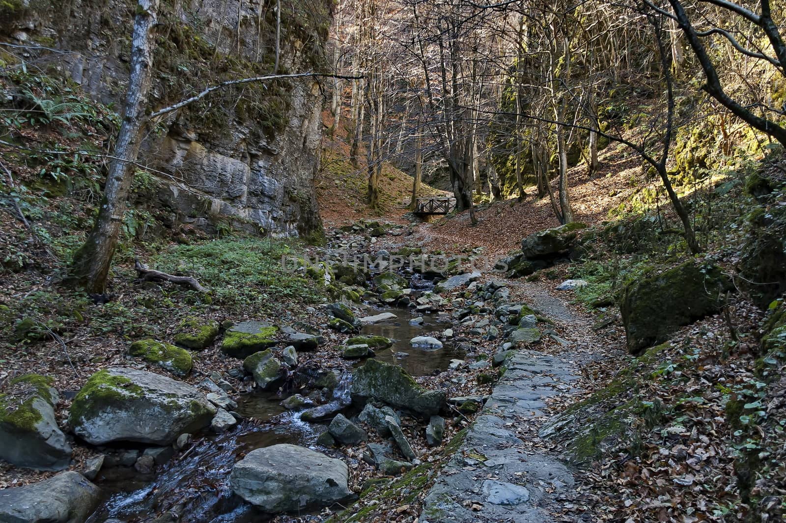 Autumn walk through the labyrinth of the Teteven Balkan with high peaks, river and bridge, Stara Planina, Bulgaria