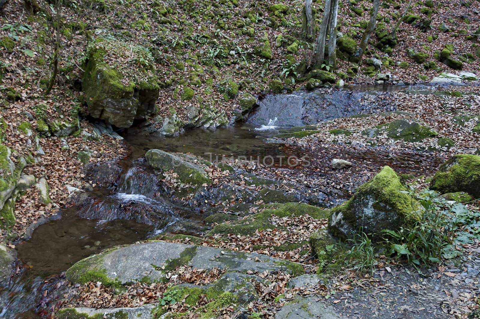 Autumn walk through the labyrinth of the Teteven Balkan with high peaks and river, Stara Planina, Bulgaria