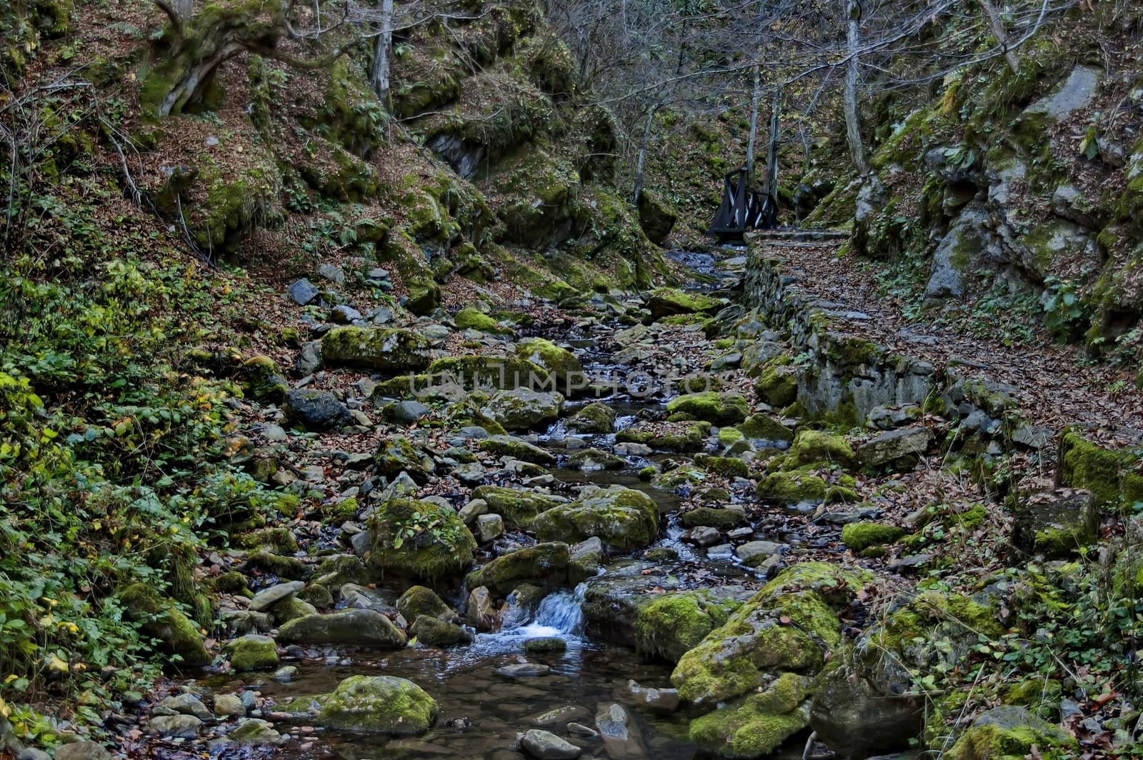 Autumn walk through the labyrinth of the Teteven Balkan with high peaks, river and bridge, Stara Planina, Bulgaria