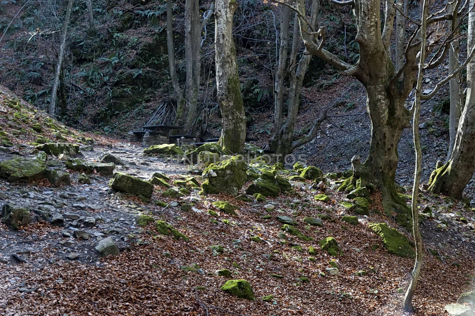 Autumn walk through the labyrinth of the Teteven Balkan with high peaks and river, Stara Planina, Bulgaria