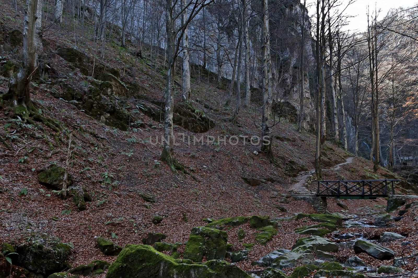 Autumn walk through the labyrinth of the Teteven Balkan with high peaks, river, bridge and waterfall, Stara Planina, Bulgaria