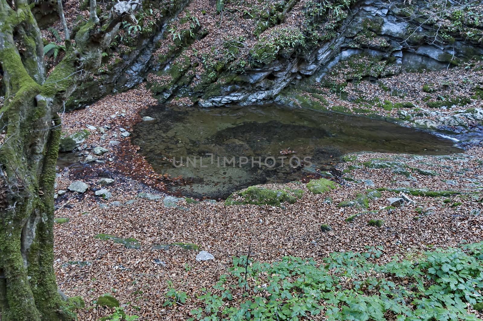 Autumn walk through the labyrinth of the Teteven Balkan with high peaks and river, Stara Planina, Bulgaria